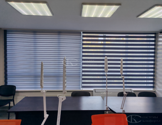 Рулонные шторы Зебра
